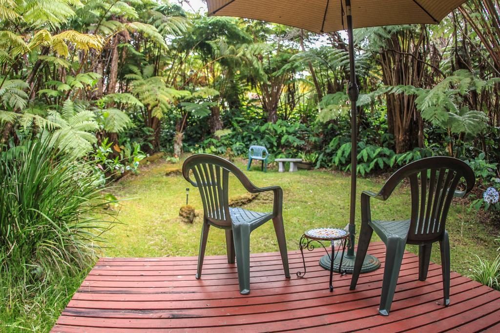 Ferny Hollow: Romantic Rainforest Cottage Volcano Eksteriør bilde