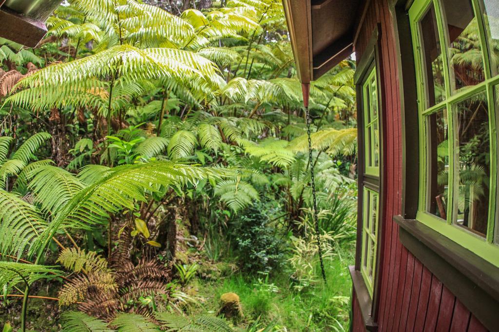 Ferny Hollow: Romantic Rainforest Cottage Volcano Eksteriør bilde